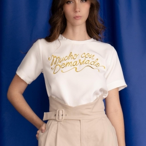 Camiseta ICÓNICA _1